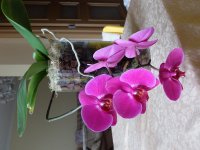 DSCF3823.jpg