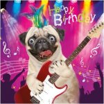 googly-eyed-pug-rocker-birthday-card-3014462-470-1396820930000.jpg