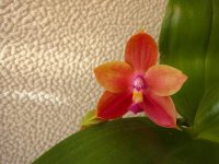 DSC08427.jpg