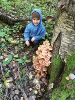 IMG_20170923_131338.jpg