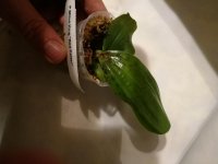 IMG_20171003_223330.jpg
