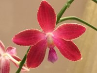 IMG_1295.jpg