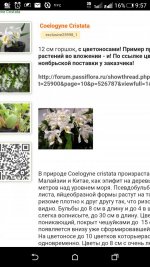Screenshot_2017-10-14-09-57-56.jpg