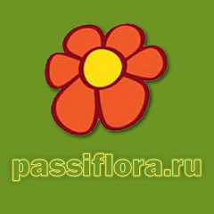 passiflora.ru